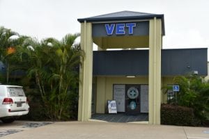 Hervey-Bay-Vet-Surgery-004