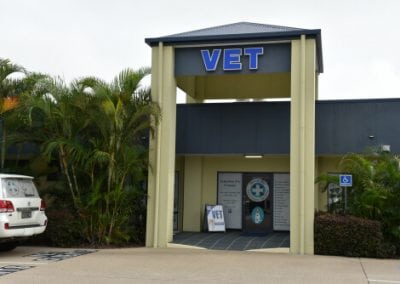 Hervey-Bay-Vet-Surgery-004