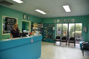 Hervey-Bay-Vet-Surgery-011