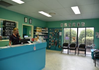 Hervey-Bay-Vet-Surgery-011