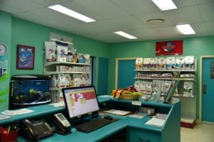 Hervey-Bay-Vet-Surgery-014