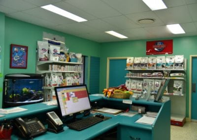 Hervey-Bay-Vet-Surgery-014