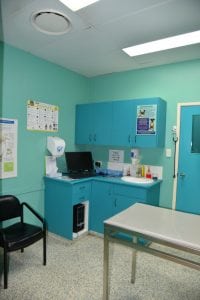 Hervey-Bay-Vet-Surgery-015