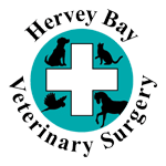 Hervey Bay Veterinary Surgery