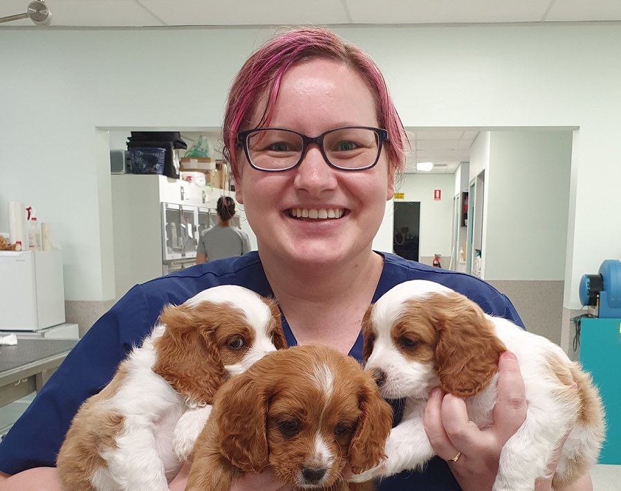 Sam Stewart (BAppSc (Vet Tech))