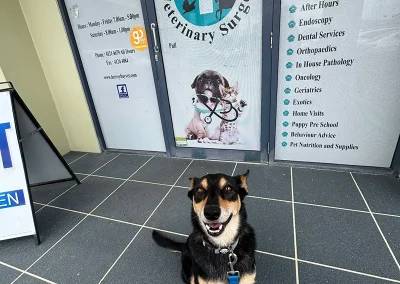Hervey-Bay-Vet-Charlie-out-front
